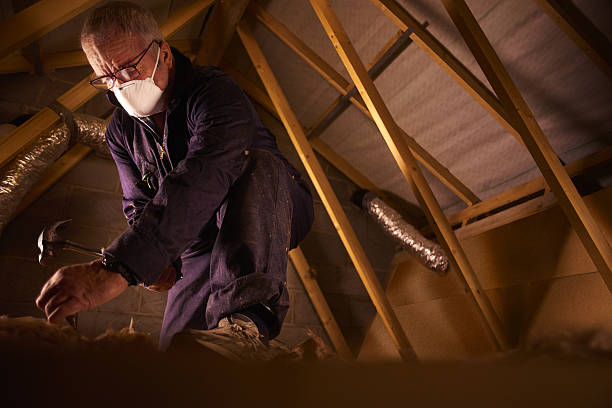 Best Insulation Installation Services in Black Jack, MO